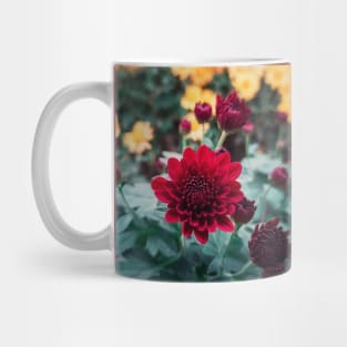 crimson chrysanthemum Mug